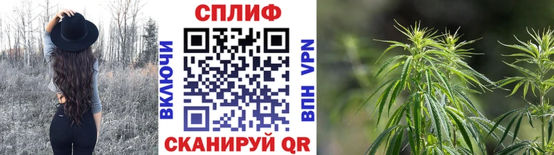 Наркотические вещества Купино Кокаин Alpha-PVP MDMA Марихуана МЕФ ГАШ
