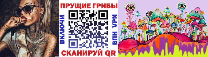 цена наркотик  Купино  Галлюциногенные грибы мицелий 