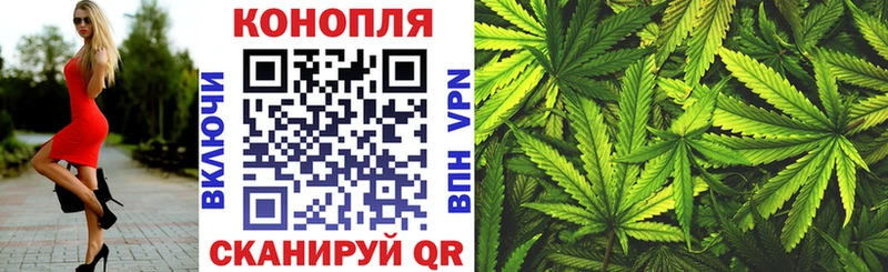 Каннабис OG Kush  Купино 